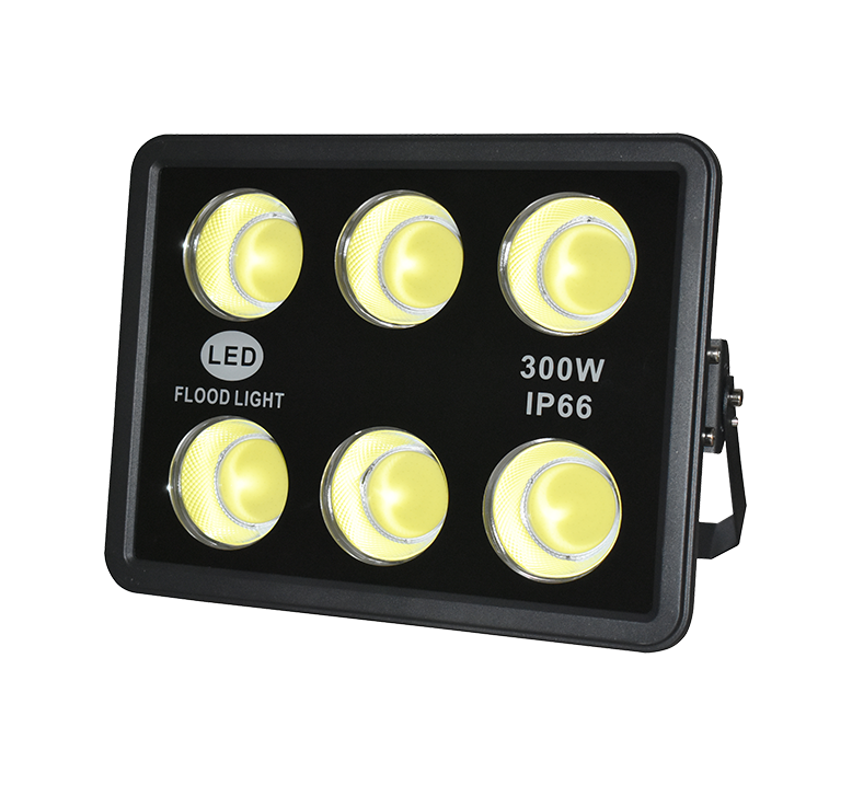 LED FLOOD LIGHT - KINGDOM SERIES